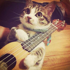 成人免费毛片❌❌❌app
